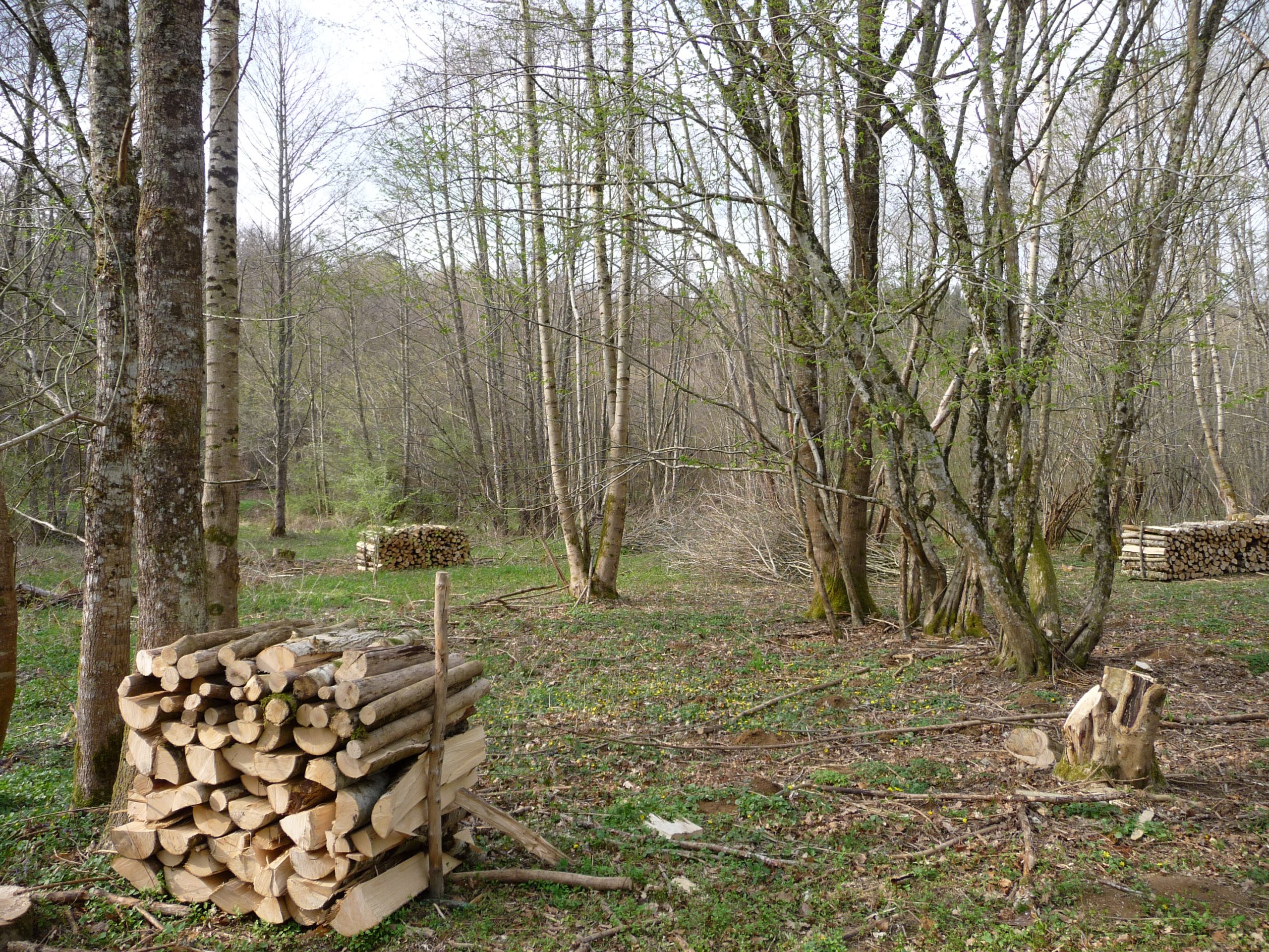 se chauffer au bois