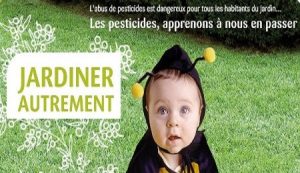 Jardin bio et équilibre du vivant…