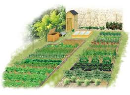 potager anti crise