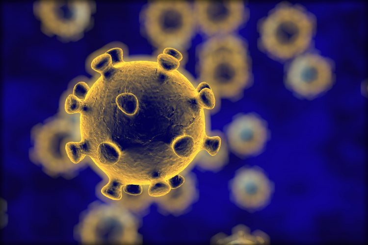 coronavirus