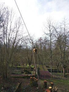 travaux de fin d'hiver