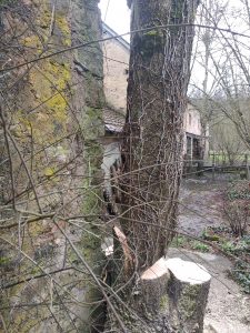 travaux de fin d'hiver