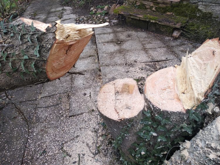 travaux de fin d'hiver