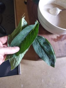 plats de saison