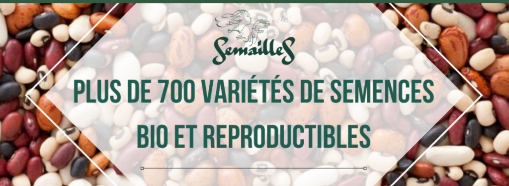 Aout au jardin