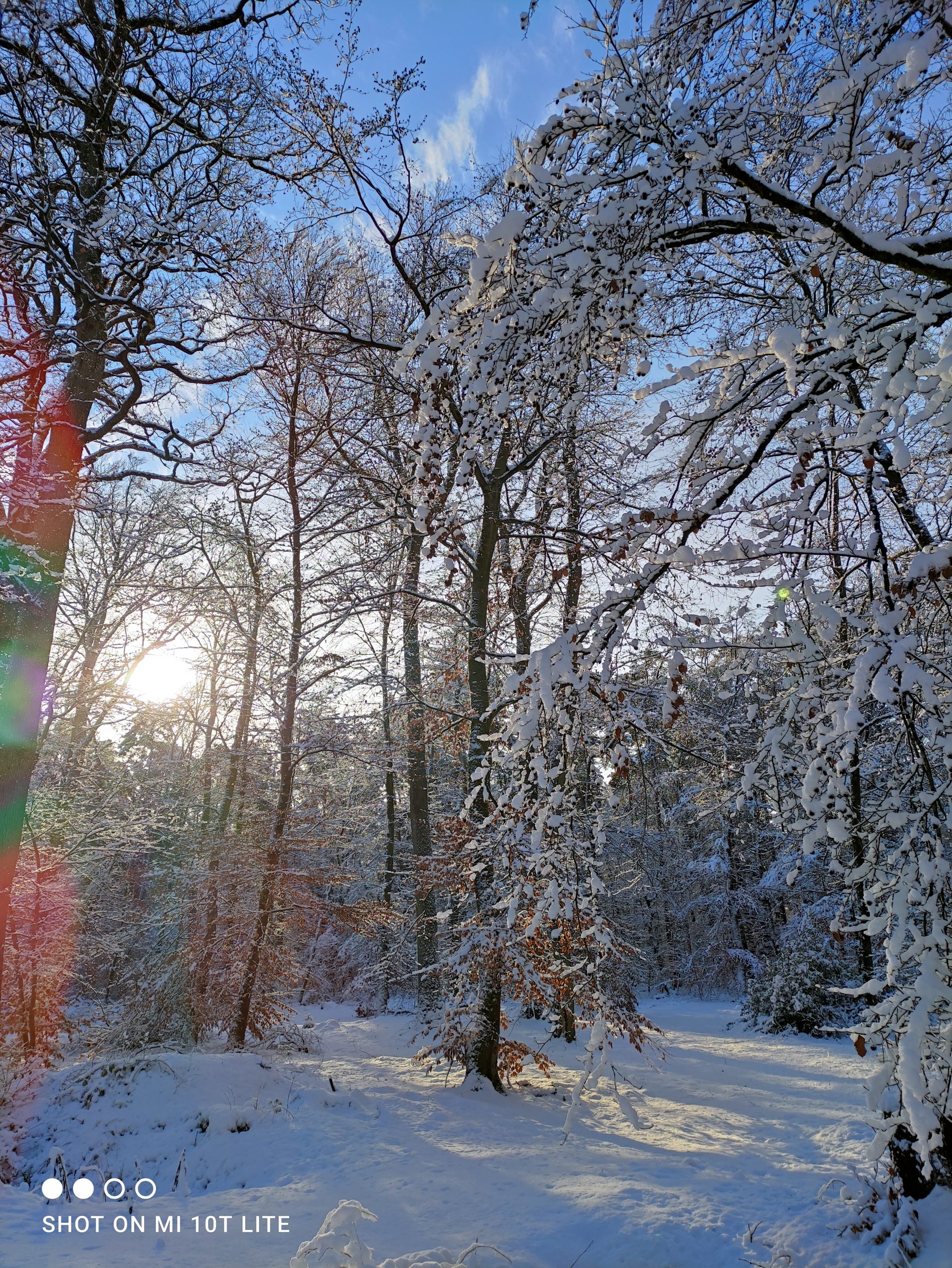 neige en janvier