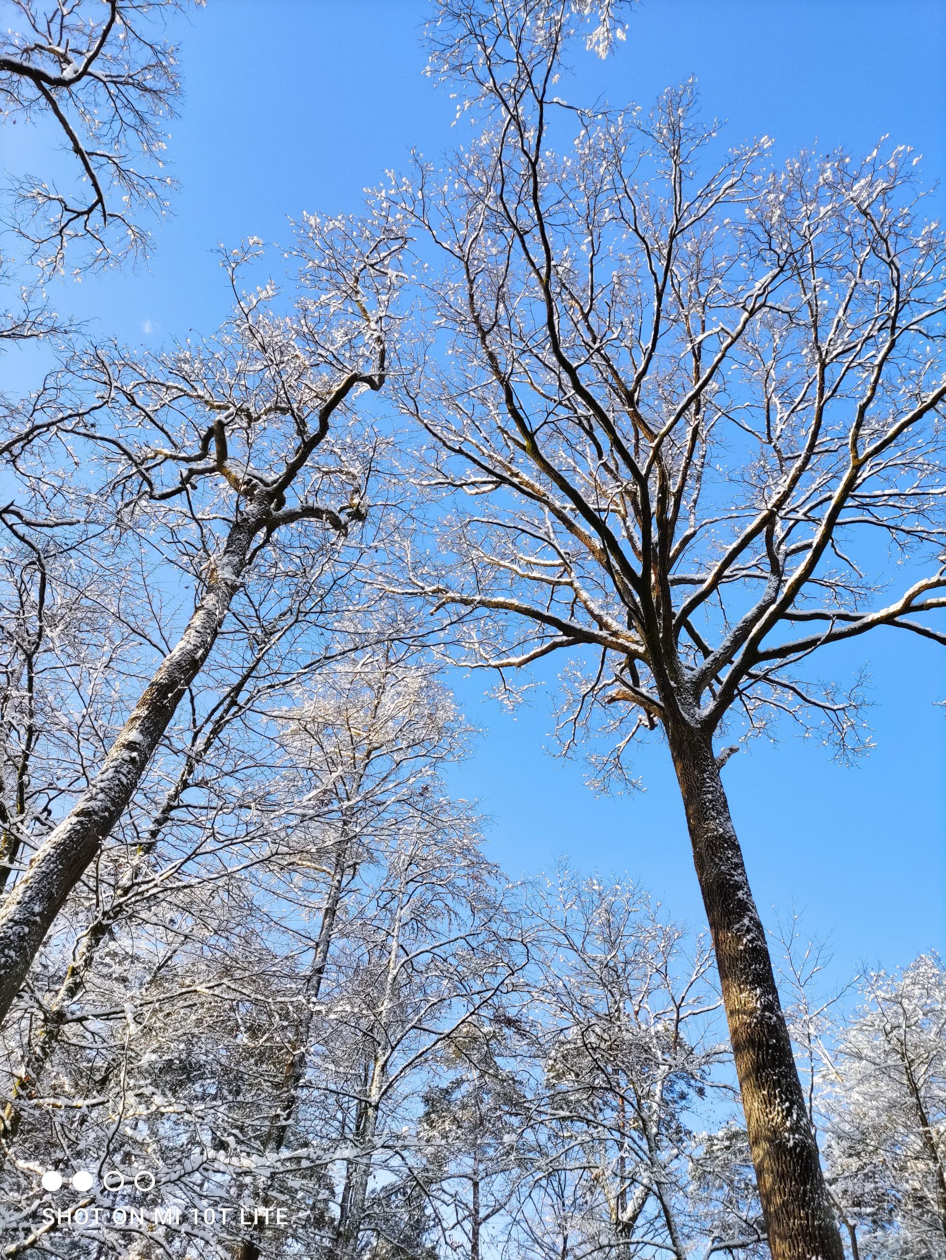 neige en janvier