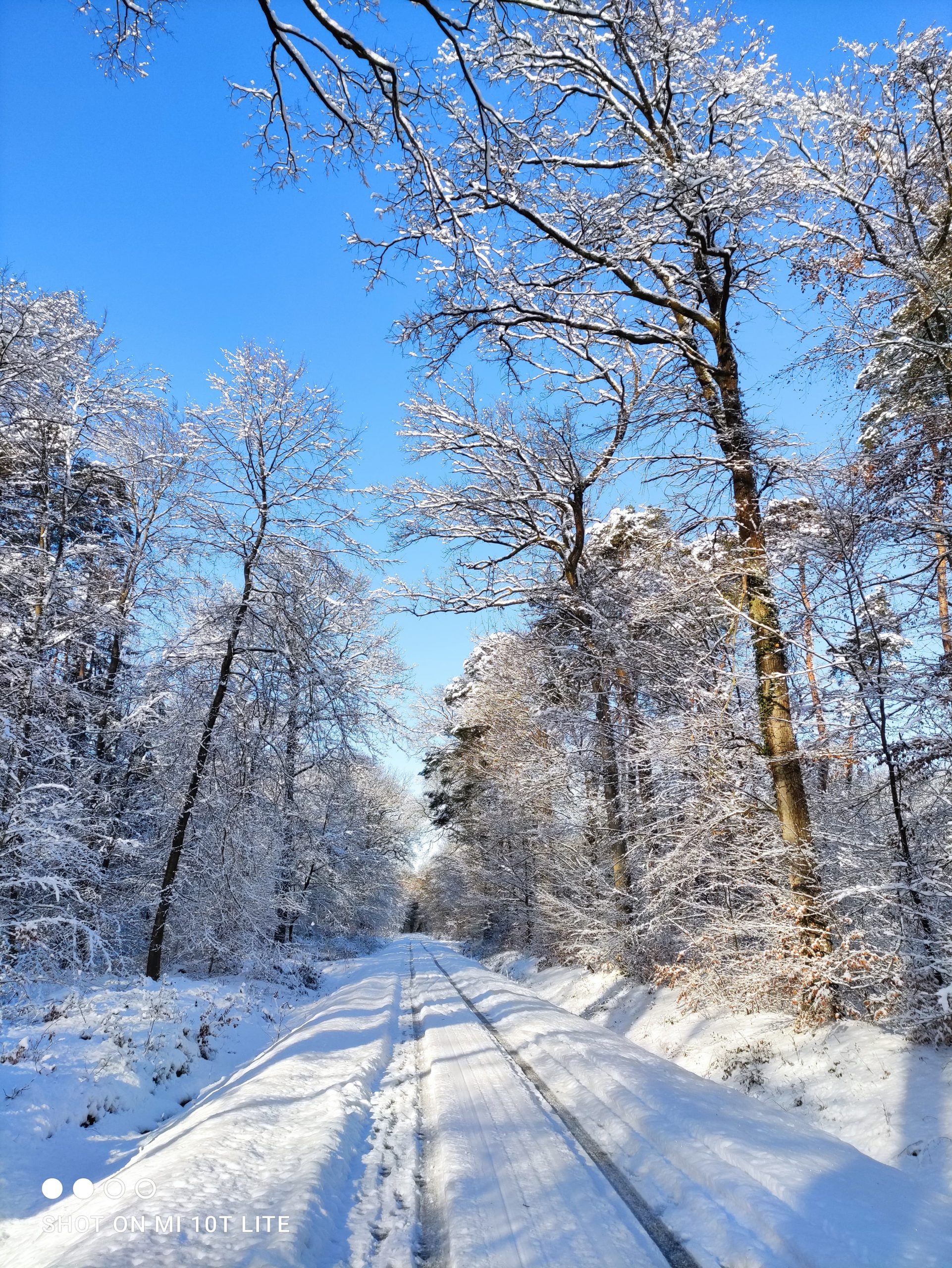 neige en janvier