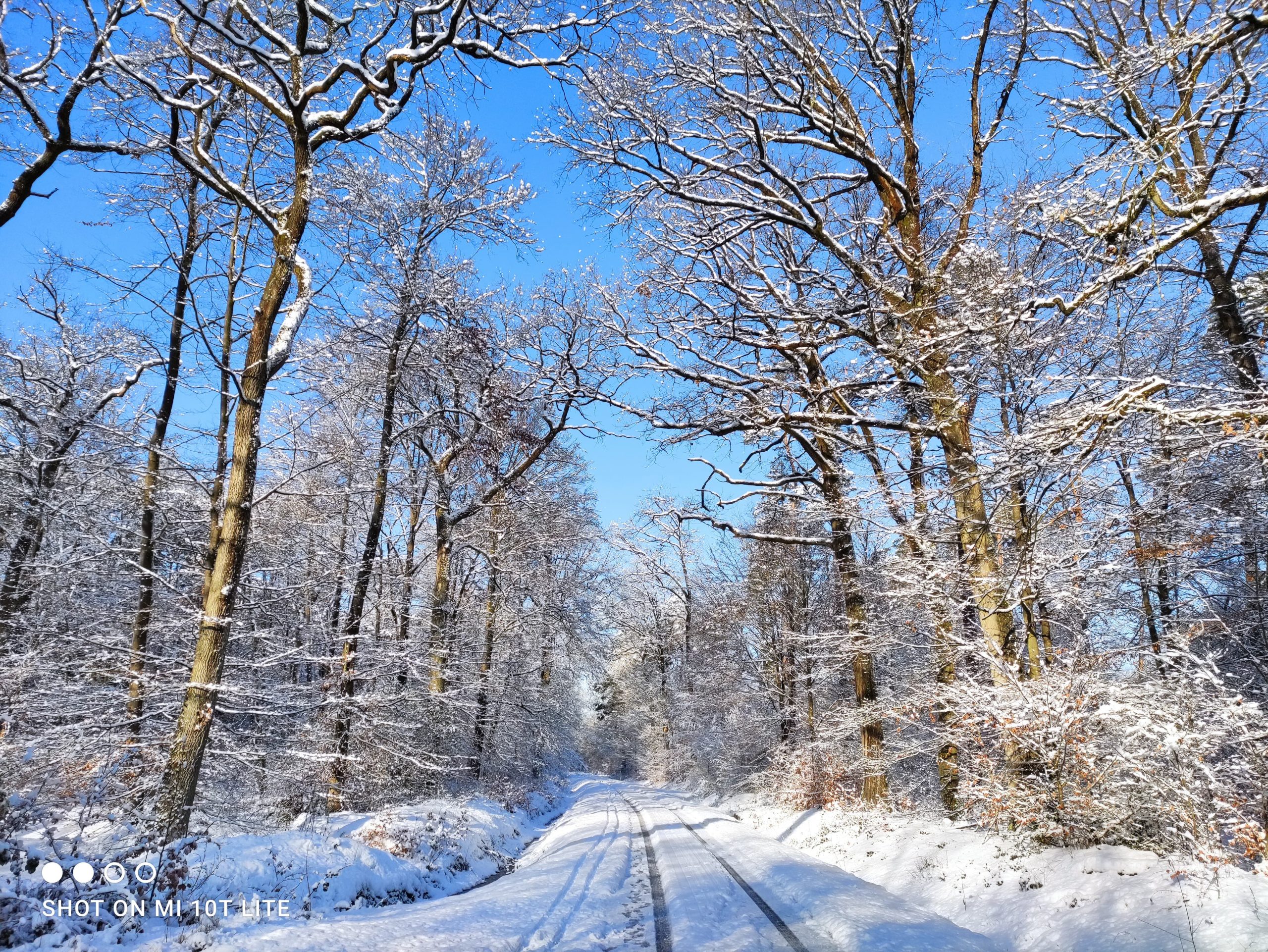 neige en janvier