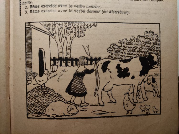 Naufrage orthographique et grammatical