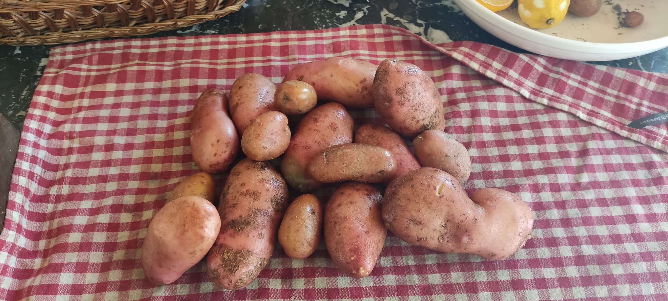 pommes de terre