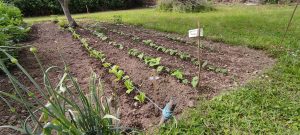 en mai au jardin