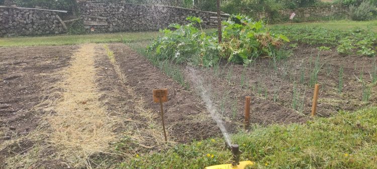 en mai au jardin