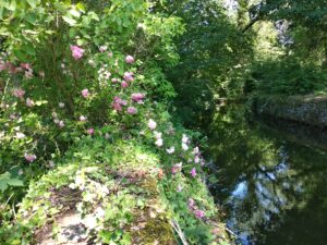 vivre a la campagne