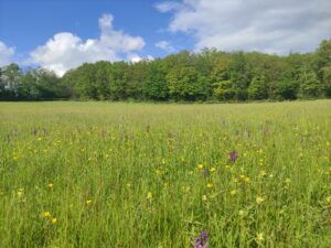 vivre a la campagne