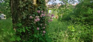 vivre a la campagne