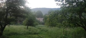 ruine