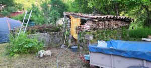 ruine