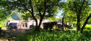 ruine