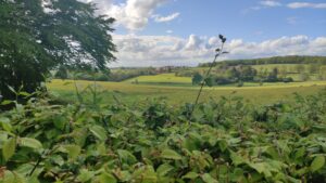 redonner vie aux campagnes